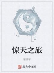 惊天之旅封面