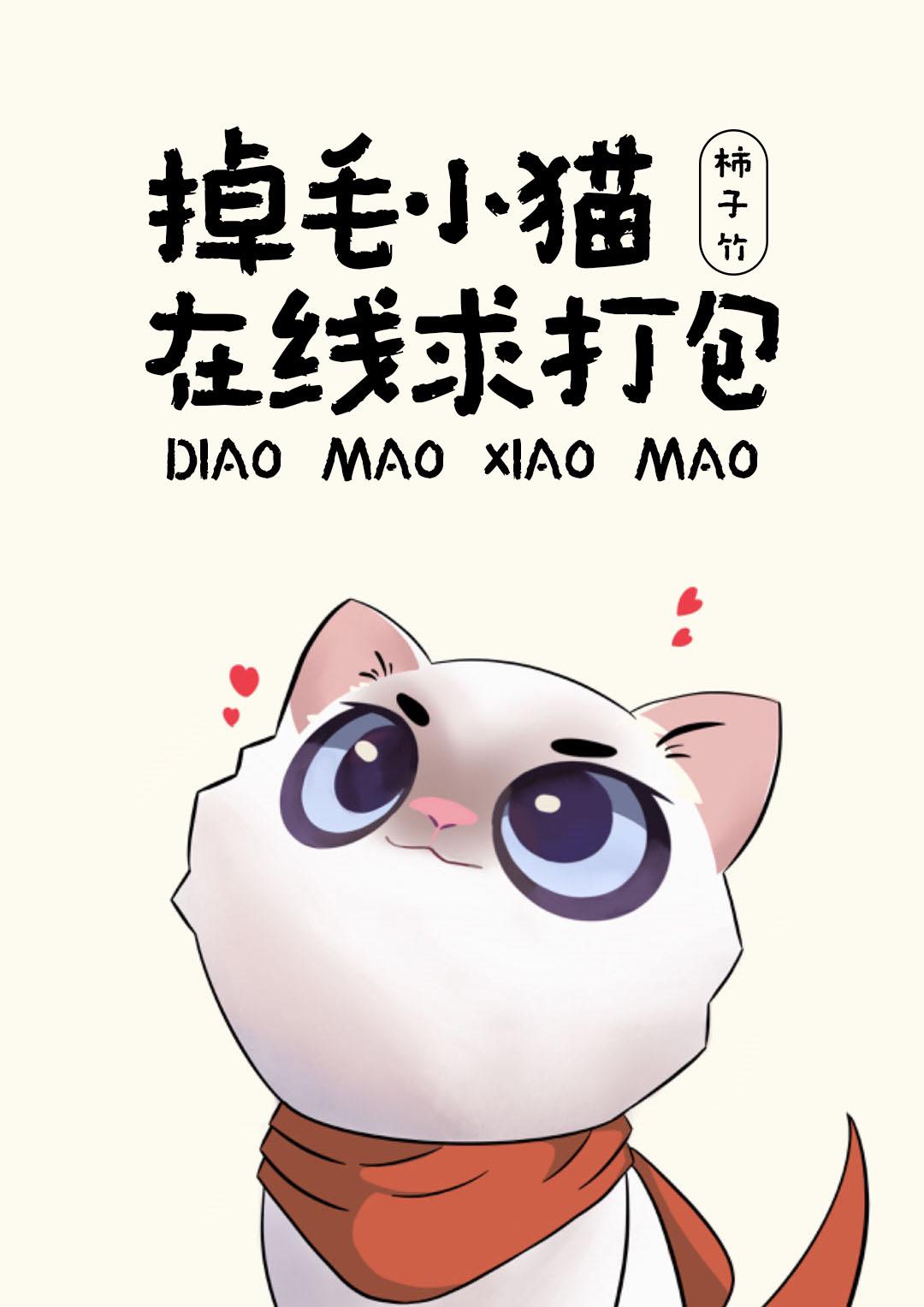 掉毛小猫，在线求打包封面