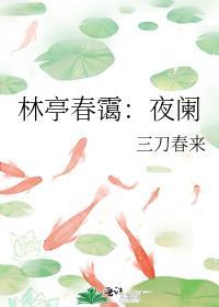 林亭春霭：夜阑封面