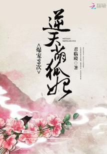 帝君你家萌妃又咬人了封面