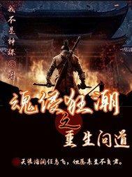 魂侵狂潮之重生问道封面