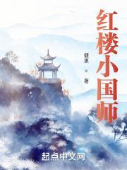 红楼小国师封面