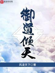 风凌天下作品封面
