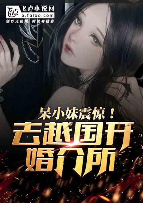 打击低配高价，我去越国开婚介所封面