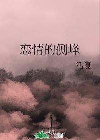 恋情的侧峰封面