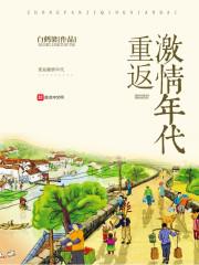 重返激情年代封面