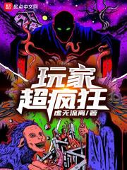 玩家超疯狂封面