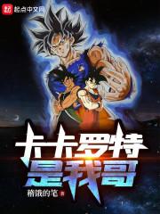 龙珠之卡卡罗特是我哥封面