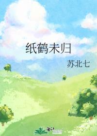 纸鹤未归封面