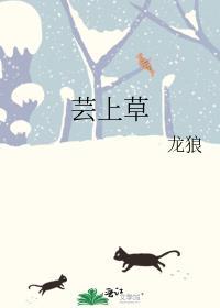 芸上草封面