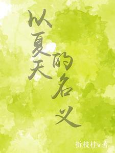 以夏天的名义封面