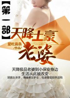天降土豪老婆封面