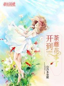 开到荼蘼花事了封面