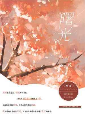 曙光封面