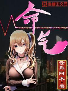 命气封面