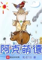 阿克萌德封面