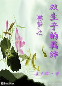 赛罗之双生子的羁绊封面