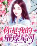 你是我的璀璨星河封面