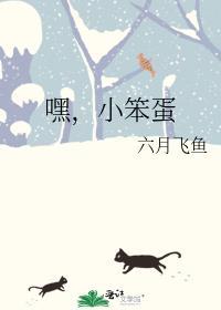 嘿，小笨蛋封面