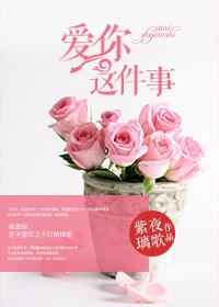 爱你这件事封面