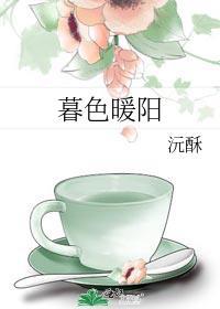 暮色暖阳封面