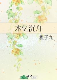 木忆沈舟封面