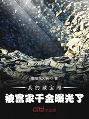 我的藏宝阁被富家千金曝光了封面
