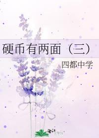 硬币有两面（三）封面