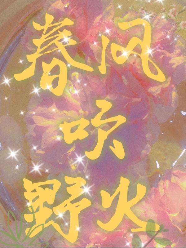 许思涵陆景封面