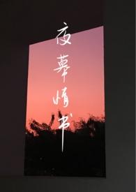 夜幕情书（1v1）封面