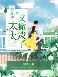 容先生，太太又撒泼了封面