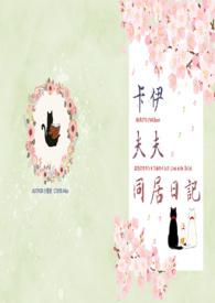 卡伊夫夫同居日记封面