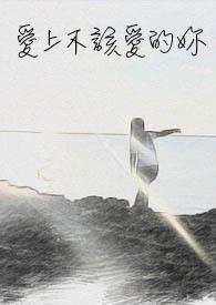 爱上不该爱的你封面
