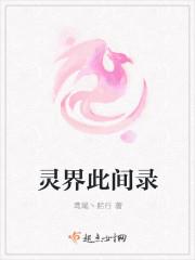 灵界此间录封面