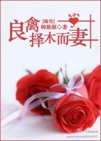 良禽择木而妻（师生）封面