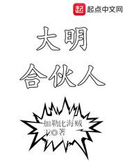 大明合伙人封面