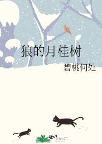 狼的月桂树封面