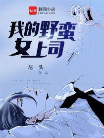 我的野蛮女上司封面
