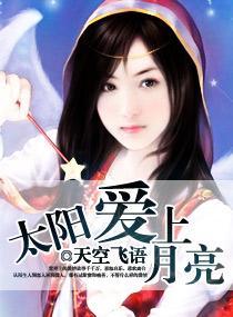太阳爱上月亮封面