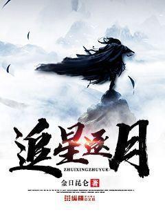 追星逐月封面
