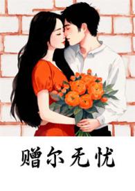 赠尔无忧 (1V1)封面