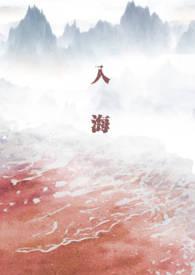 入海封面