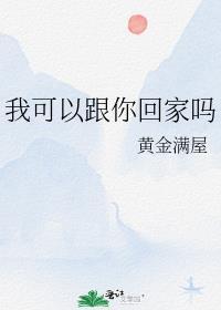 我可以跟你回家吗封面