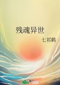 残魂异世封面