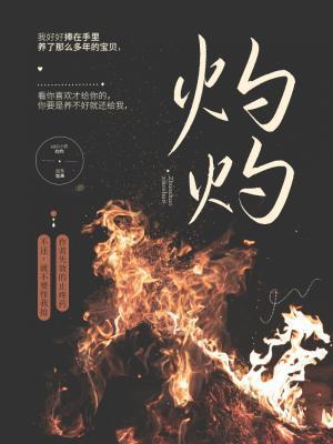 灼灼封面