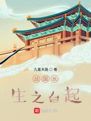 战国长生之白起封面
