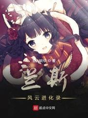 兰斯风云进化录封面