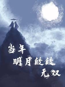 当年明月皎皎无双【西魏篇】封面
