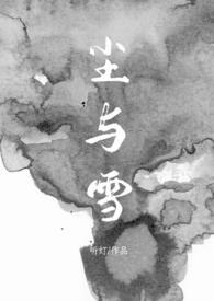 尘与雪（卧底，1V1）封面