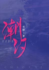 潮汐（校园1v1）封面